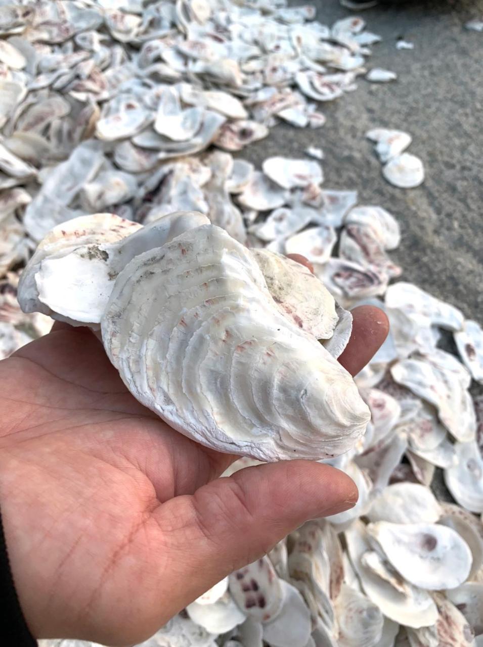 欧嗨悠民宿 马公 外观 照片